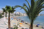 Playa Levante-Fosa 011